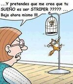 Gato Striper.jpg