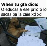 O educas a ese perro.jpg