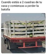 Perder la batalla.jpg