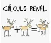 Cálculo renal.jpg