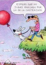 4730_castracion.jpg