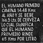 El humano promedio.jpg