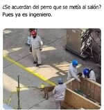 Ya es ingeniero.jpg