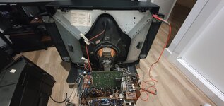 WhatsApp Image 2026-02-18 at 10.07.52 (1).jpeg