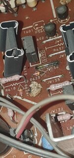 WhatsApp Image 2026-02-18 at 10.07.50 (4).jpeg