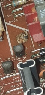 WhatsApp Image 2026-02-18 at 10.07.51.jpeg