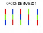 OPCION 1.jpg