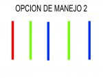OPCION 2.jpg