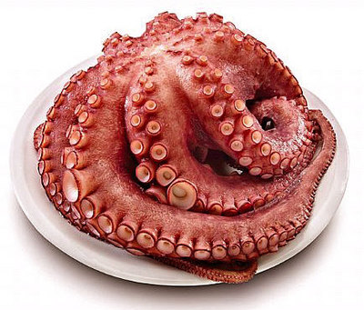 492_pulpo-empanado.jpg