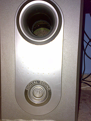 subwoo10.jpg