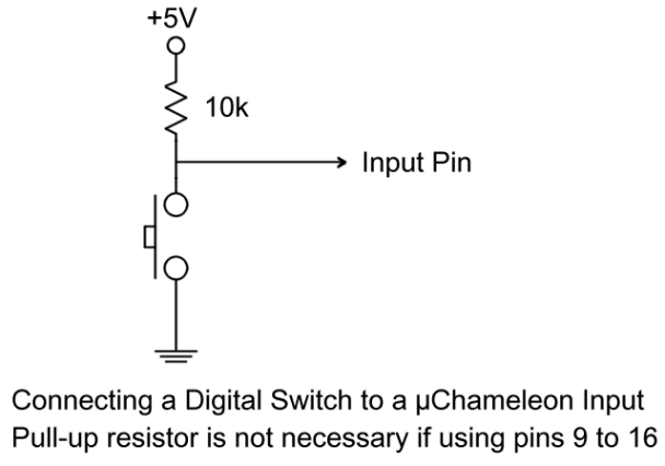 T input