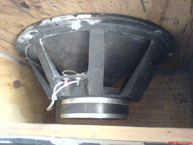 DSC01151.jpg