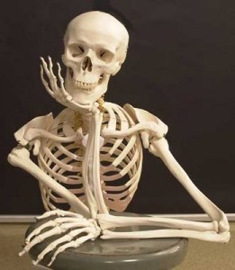 esqueleto-humano-261x300.jpg