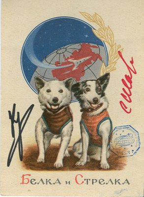 Belka+Strelka-1.jpg