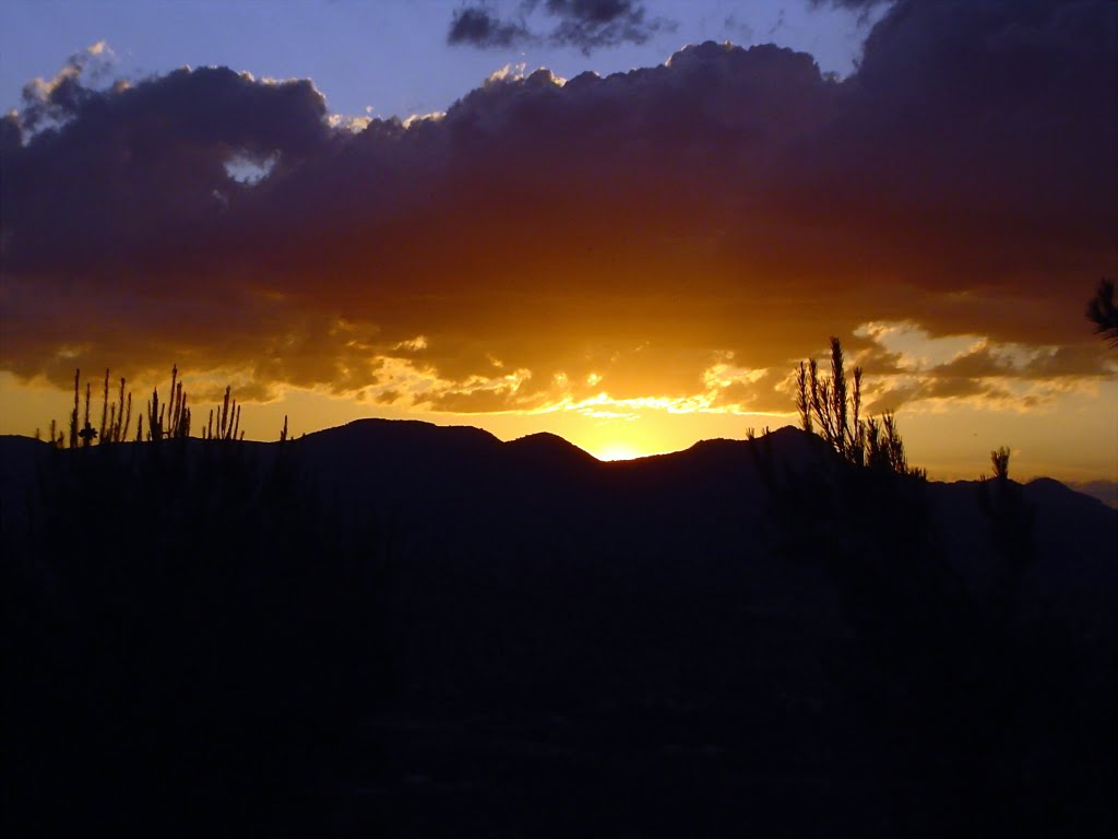 Imagen%2520001-2.jpg